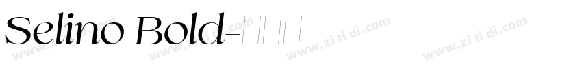 Selino Bold字体转换